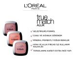 L'Oreal Paris True Match Blusher, Sandalwood Pink