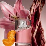 BOSS Femme Eau de Parfum - Woody Floral Scent