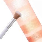 4-Color Blusher Palette with Brush - Matte & Shimmer