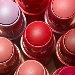 3INA No-Rules Matte Blush Stick 503 – Nude