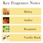 Amber Oud Gold Roll-On Perfume Oil 6ML