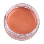 Concealer for Dark Circles and Blemishes