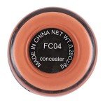 Concealer for Dark Circles and Blemishes