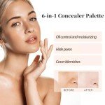 6-in-1 Face Palette for Blemishes & Dark Circles