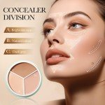 Full Coverage Concealer Palette for Dark Circles