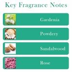 Coco Powder Perfume Oil Roll-On for Women