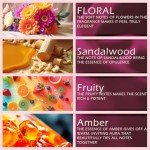 Luxury Scent Second Wife Roll-On Perfume Oil