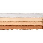 Wet n Wild Bare Focus Translucent Finishing Powder