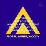 Indigo Perfume for Women - 100ml Eau de Parfum