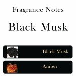 Black Musk Perfume Oil - Long Lasting Unisex Fragrance