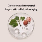 M. Asam Resveratrol Tinted Day Cream - 50ml