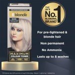 Jerome Russell Bblonde Silver Non-Permanent Hair Toner