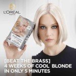 L'Oréal Paris Préférence Platinum Ice Toner