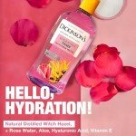 Dickinson's Hydrating Alcohol-Free Witch Hazel Toner 16oz