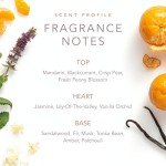 Dolly Parton Scent from Above Eau de Toilette