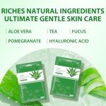 10 Aloe Vera Face Masks for Soothing Hydration