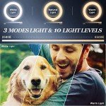 10.2" Dimmable LED Ring Light Kit with Tripod