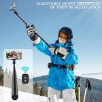 10.2" Dimmable LED Ring Light Kit with Tripod