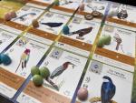 Wingspan: Award-Winning Bird Strategy Board Game