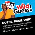 Wild Guess! Fast-Paced Card Game for 2-4 Players