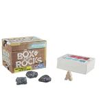 Hasbro Games Box of Rocks Party Game