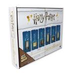 Harry Potter Potions Challenge Deluxe Board Game