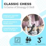 Classic Chess Game for Kids and Adults