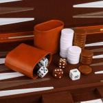 Classic Portable Backgammon Set with Leather Case