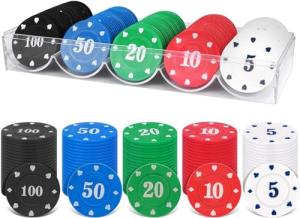 Deluxe 100 Pcs Casino Poker Chips Set