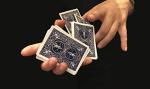 Bicycle Standard Index Playing Cards - 2 Decks