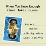 Gamewright Deduckto Family Card Game for Ages 8+