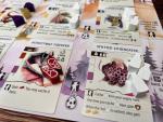 Wyrmspan Upgrade Pack for Stonemaier Games