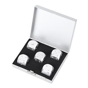 Silver Aluminum Dice Set with Storage Box