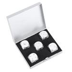 Silver Aluminum Dice Set with Storage Box