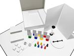 Create Your Own Board Game DIY Kit