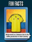 SMART CARDS World Football: 7 Games in 1