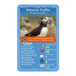 Top Trumps Birds of the World Card Game