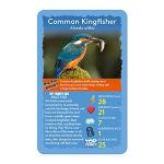 Top Trumps Birds of the World Card Game