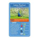 Top Trumps Birds of the World Card Game