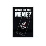 WHAT DO YOU MEME? TikTok Party Game Edition