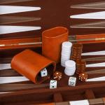 Portable Brown Backgammon Set for 2 Players