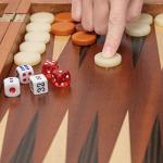 Cascadia Wooden Backgammon Set with Acrylic Pieces