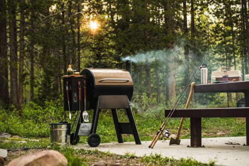Traeger Pro Series 22 Electric Wood Pellet Grill