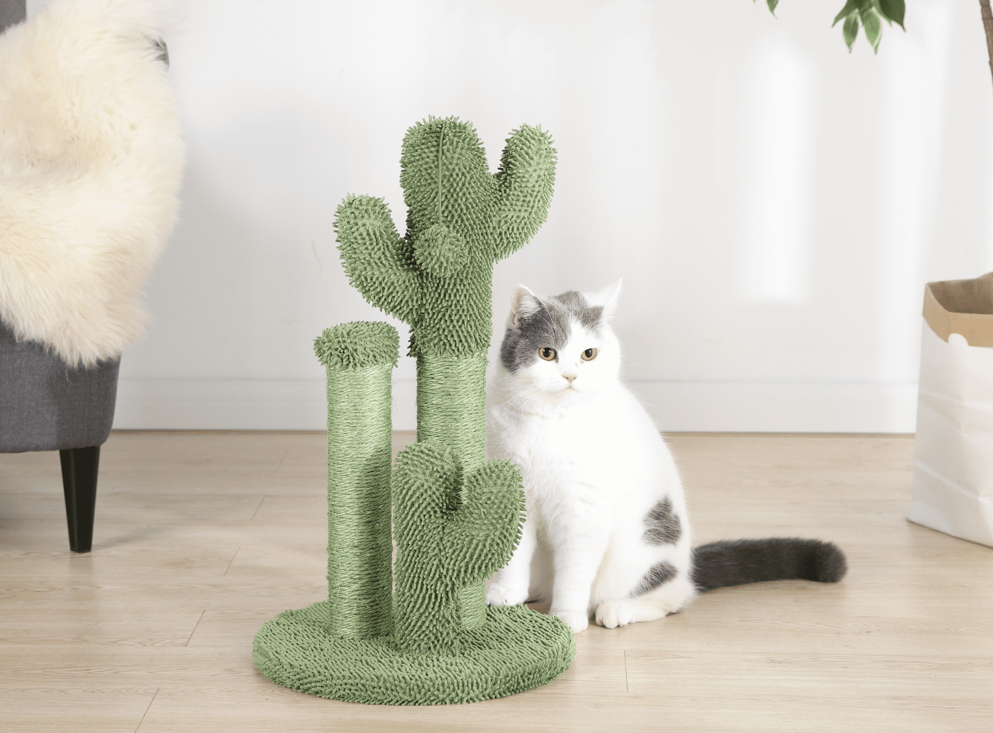 Cactus Cat Scratching Post with Toy Ball