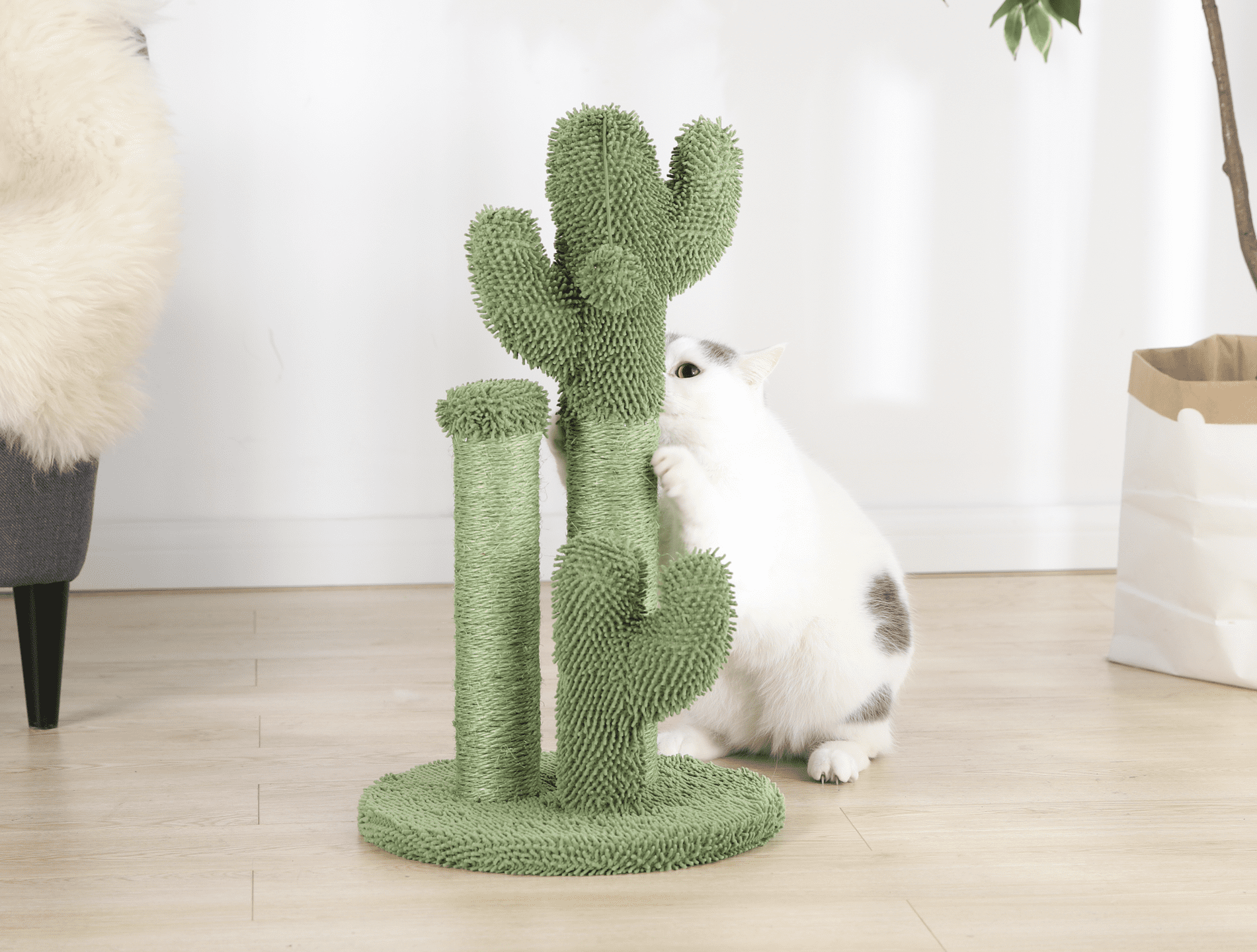 Cactus Cat Scratching Post with Toy Ball
