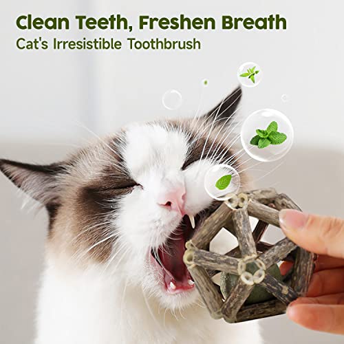 Matatabi Cat Chew Toys Set, 3 Pieces