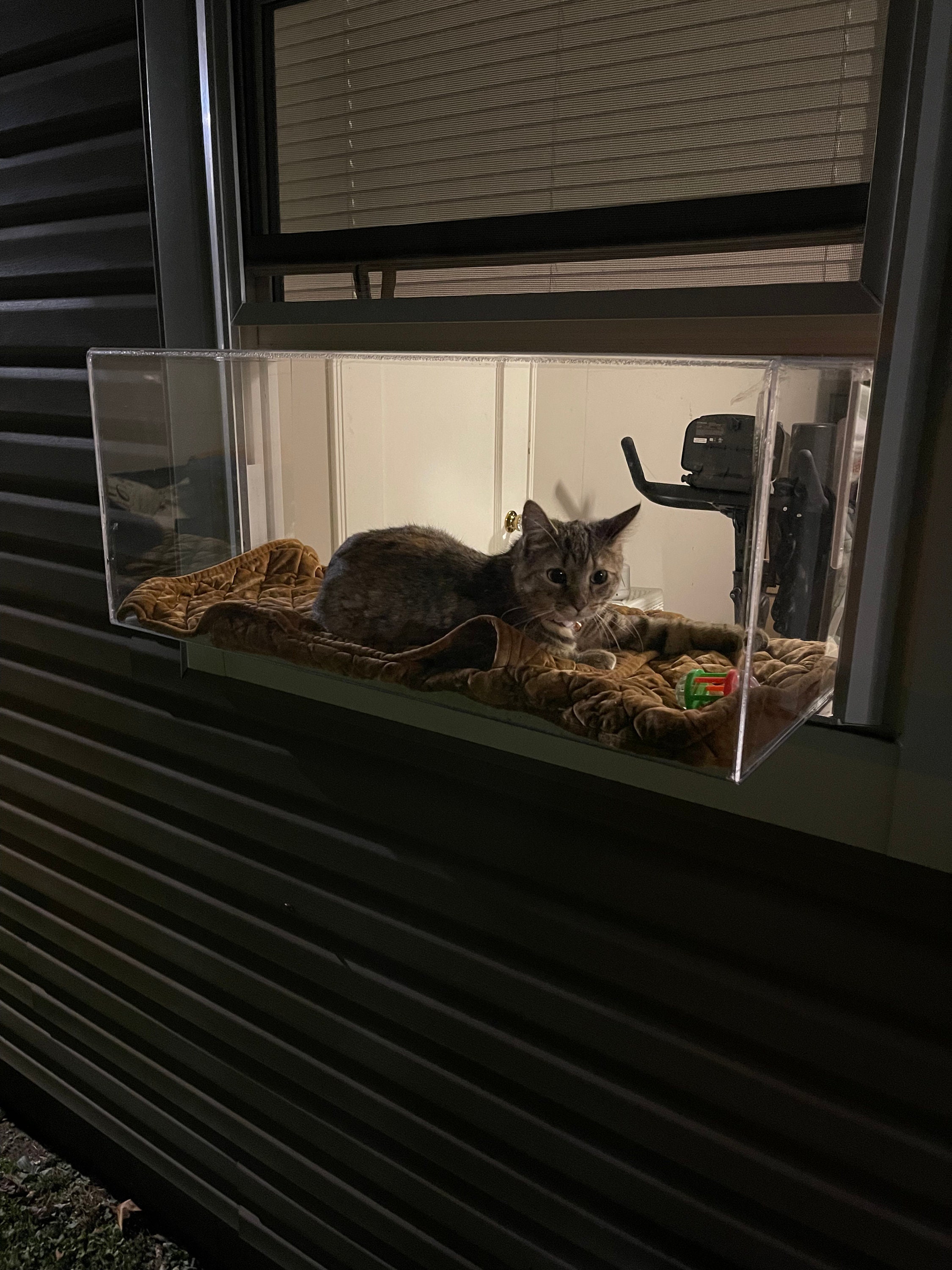 Window Catio - Custom Fit (24"-36")