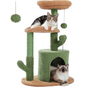 Cactus Cat Tree Tower with Cozy Condo