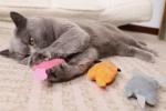 Interactive Cat Chew Plush Toys with Catnip - 3-Pack