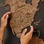 World Map Push Pin Travel Art with Pins